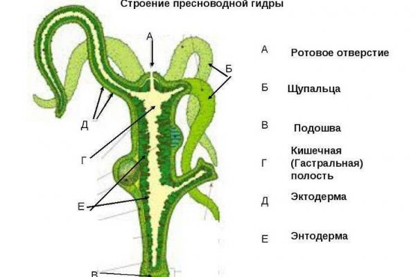 Ссылка на омгомг