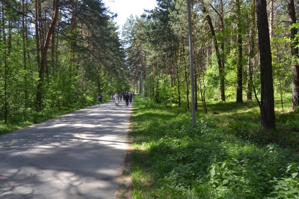 Ссылки омг омг мега